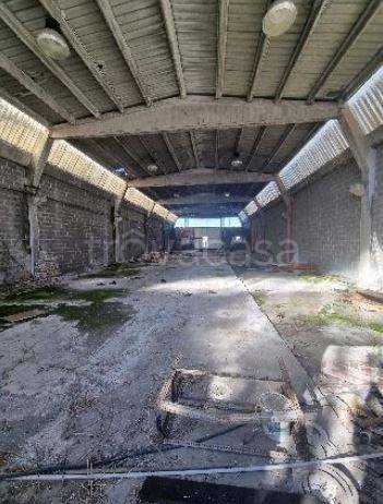 immagine annuncio 1 di 7
