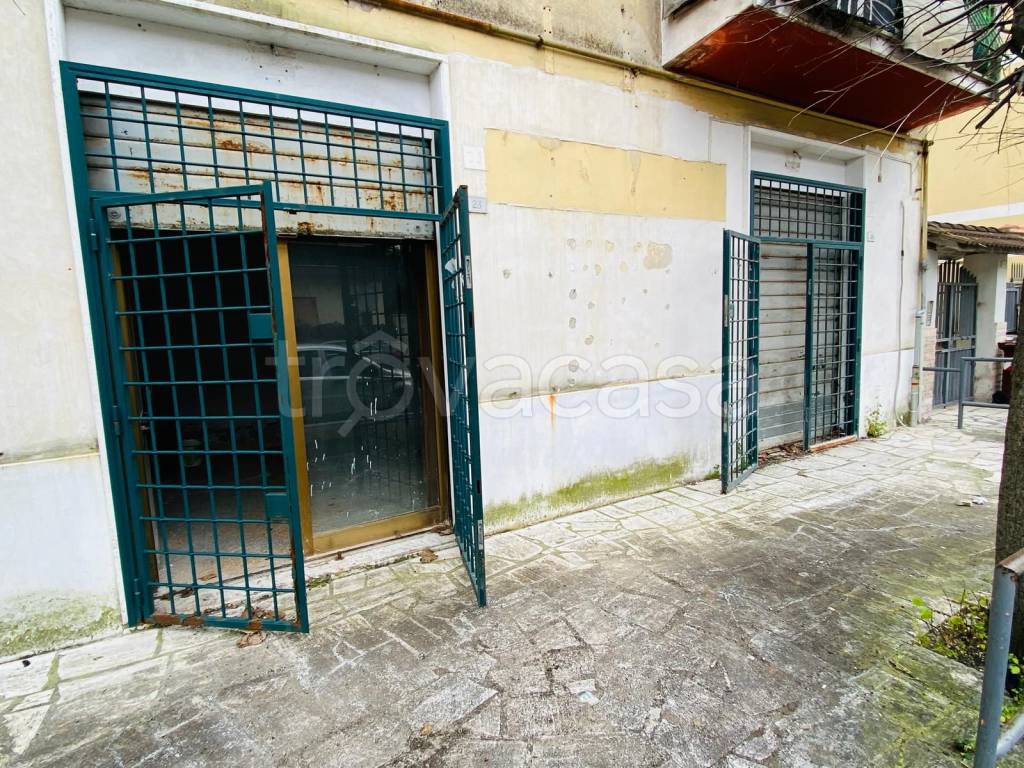 immagine annuncio 11 di 13
