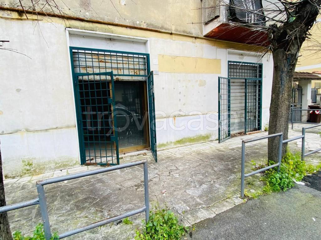 immagine annuncio 9 di 13