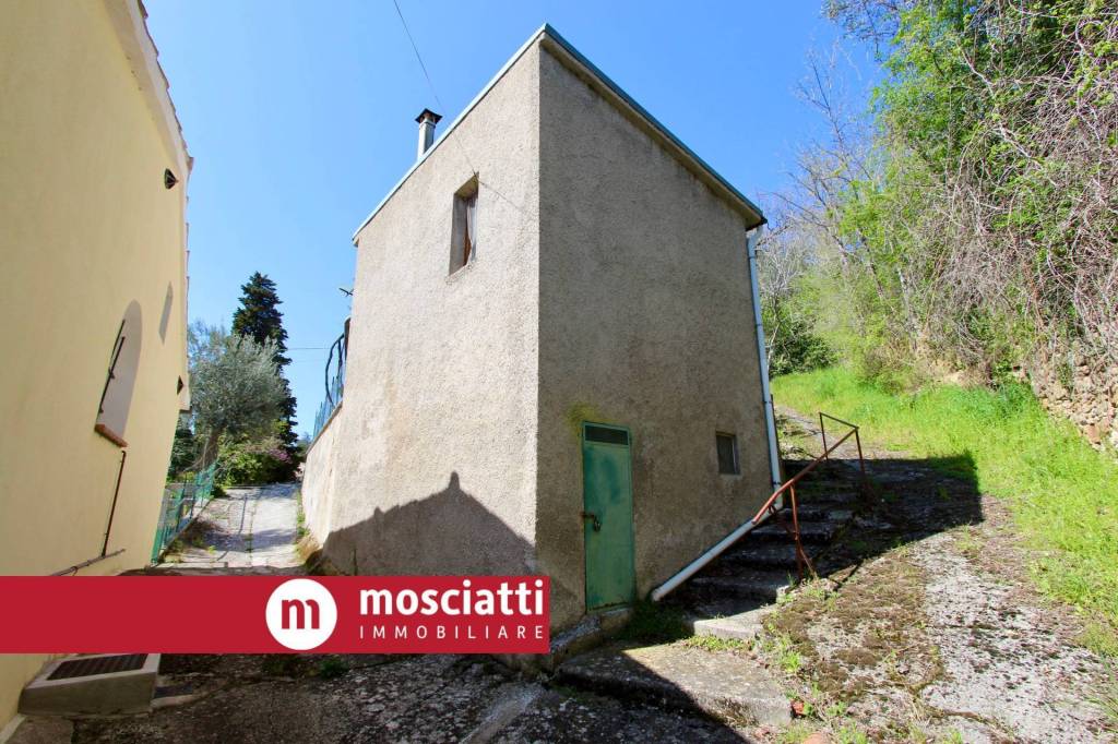 immagine annuncio 9 di 13