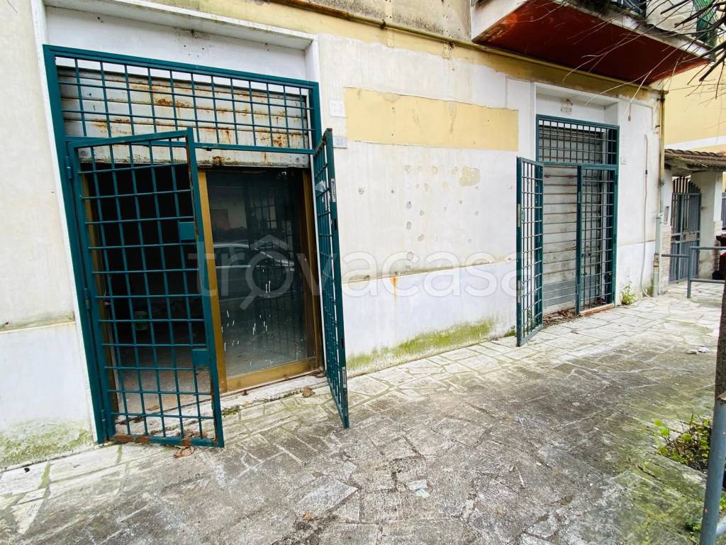 immagine annuncio 8 di 11