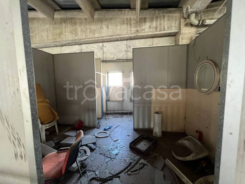 immagine annuncio 11 di 14