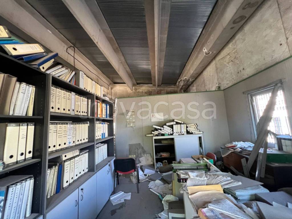 immagine annuncio 12 di 14