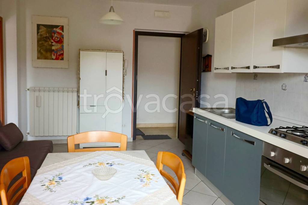immagine annuncio 2 di 11