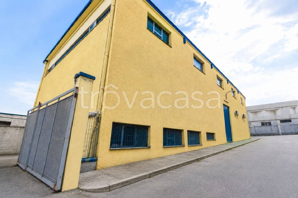 immagine annuncio 8 di 13