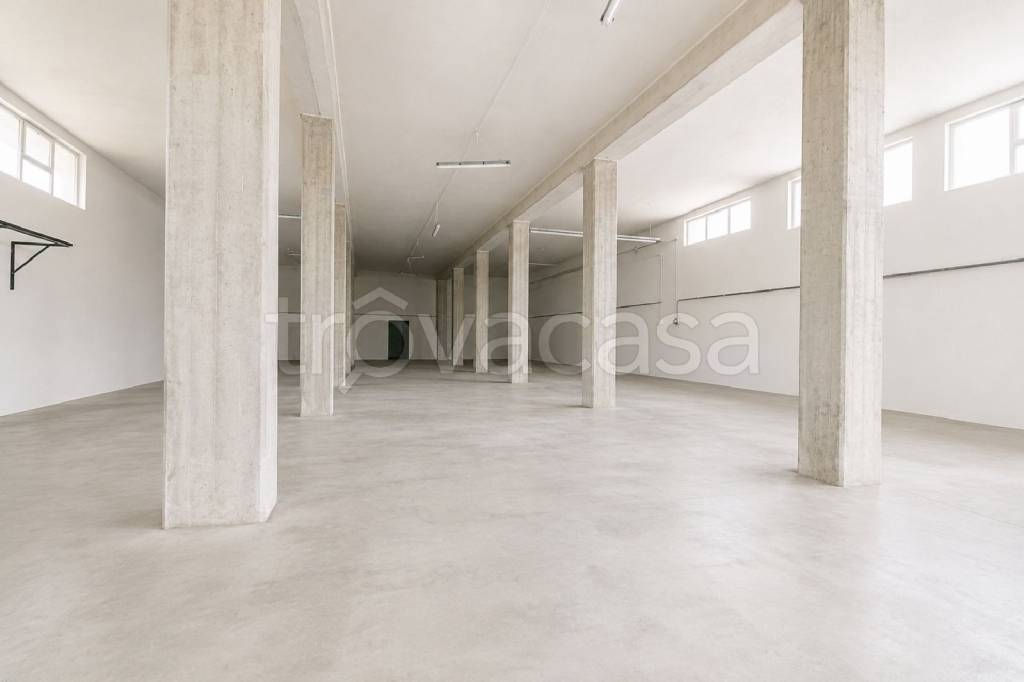 immagine annuncio 9 di 13
