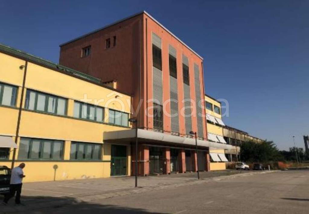immagine annuncio 2 di 14