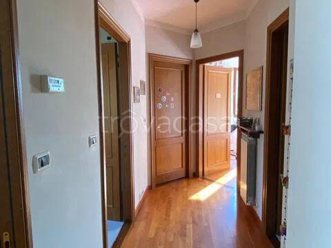 immagine annuncio 6 di 14