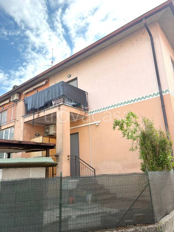 immagine annuncio 10 di 12