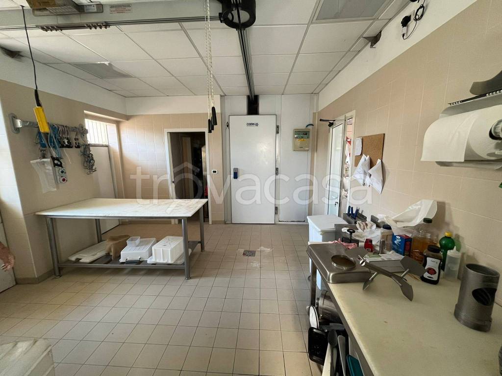 immagine annuncio 5 di 13