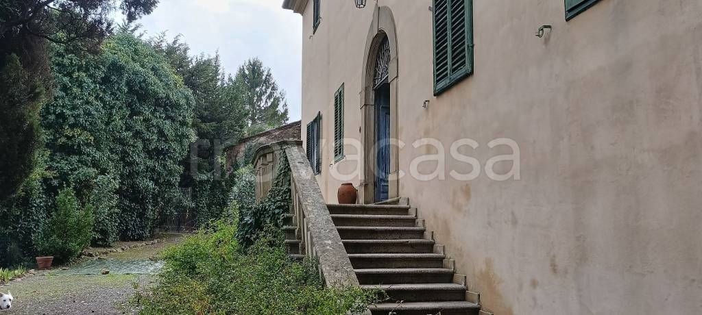 immagine annuncio 8 di 11