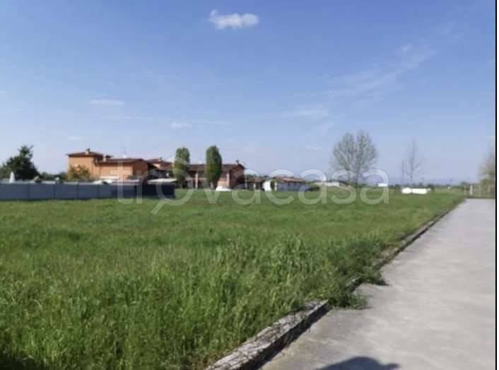 immagine annuncio 4 di 6