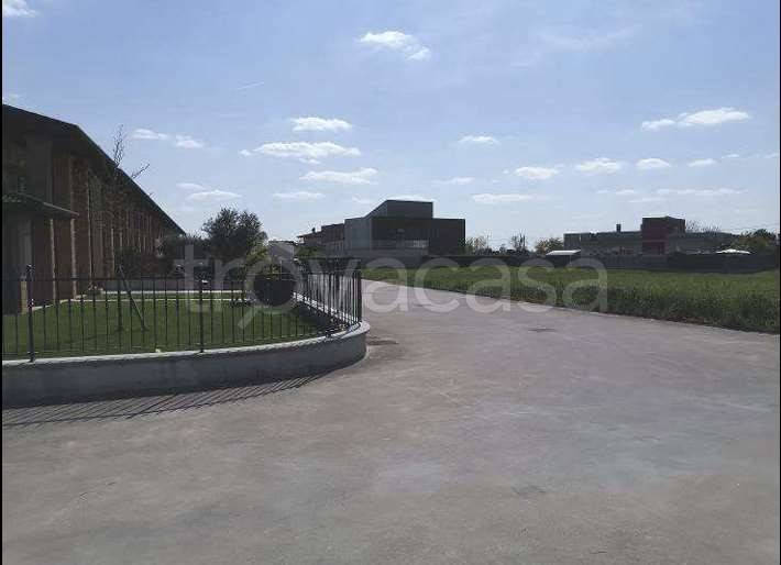 immagine annuncio 5 di 6