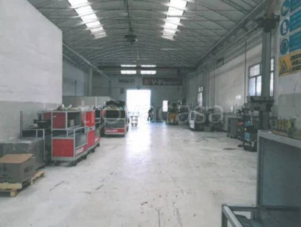 immagine annuncio 5 di 10