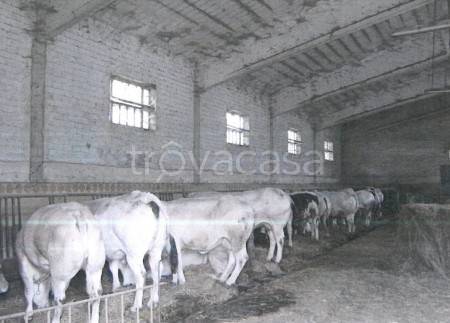 immagine annuncio 2 di 8