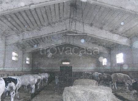 immagine annuncio 4 di 8