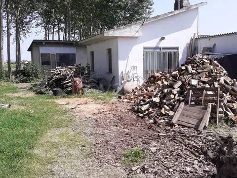immagine annuncio 2 di 4