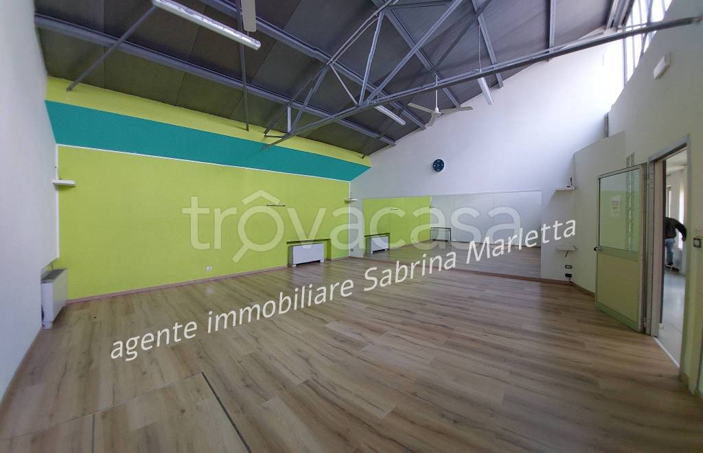 immagine annuncio 5 di 15