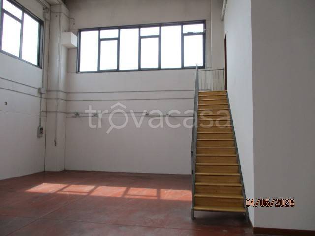 immagine annuncio 3 di 8
