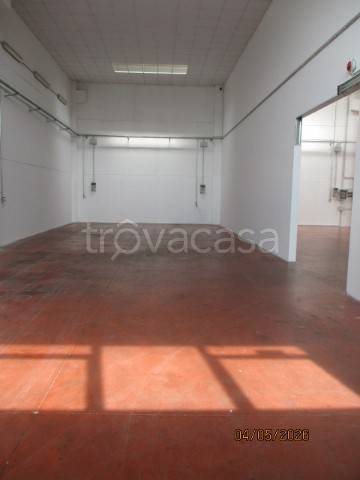 immagine annuncio 4 di 8