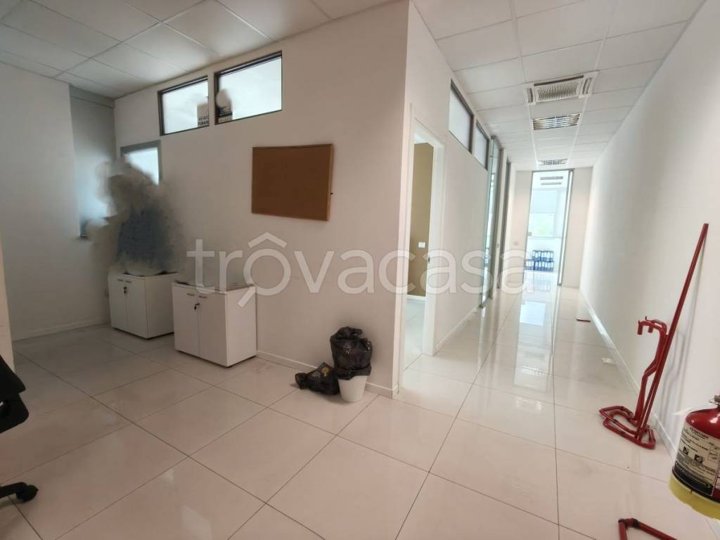 immagine annuncio 12 di 14