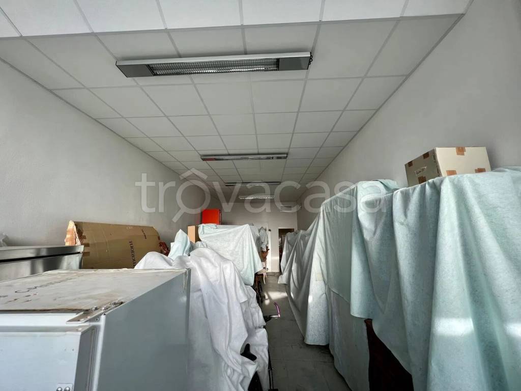 immagine annuncio 1 di 6