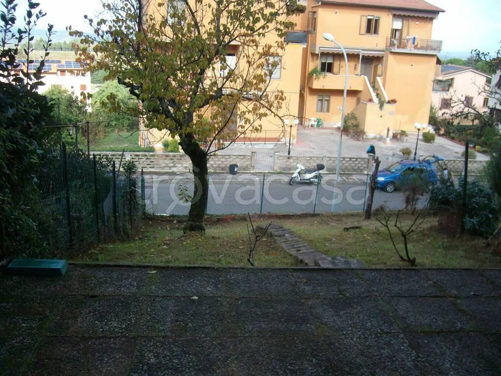 immagine annuncio 4 di 11
