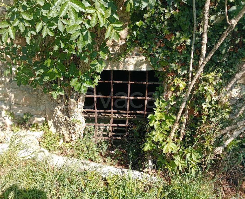 immagine annuncio 5 di 7