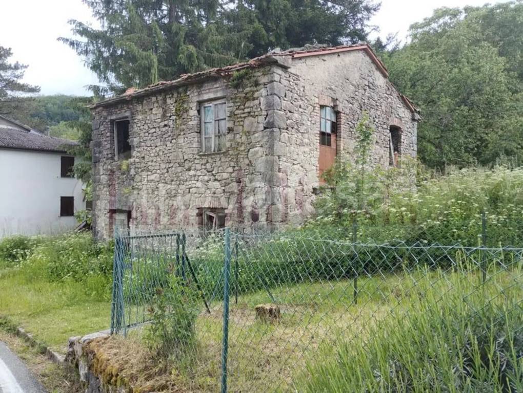 immagine annuncio 4 di 14