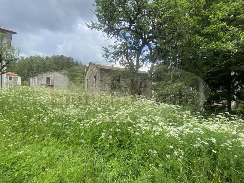 immagine annuncio 8 di 14