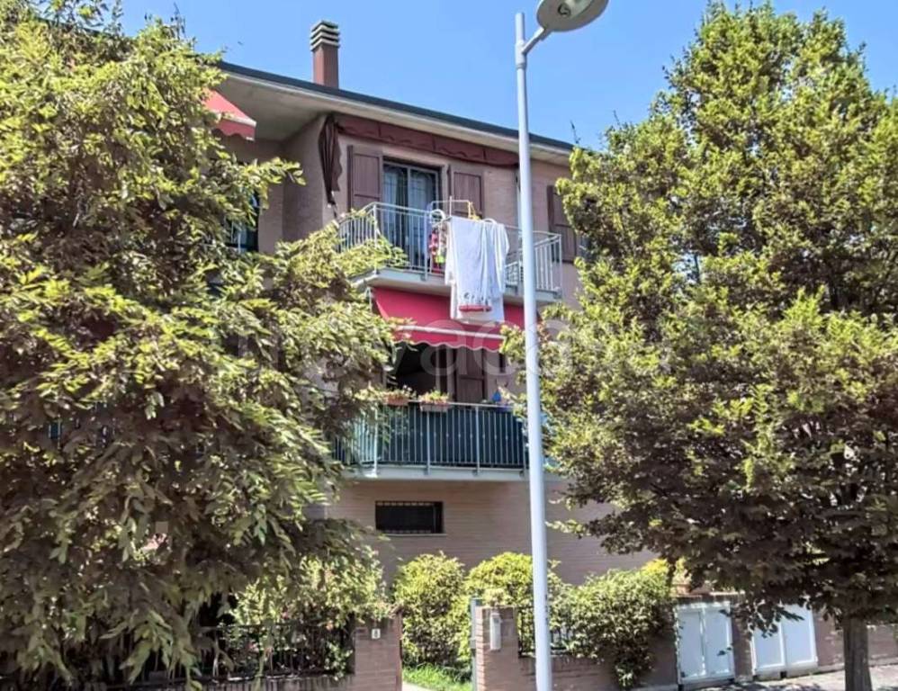 immagine annuncio 3 di 12