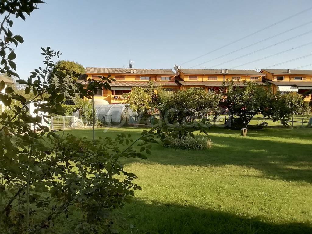 immagine annuncio 3 di 14