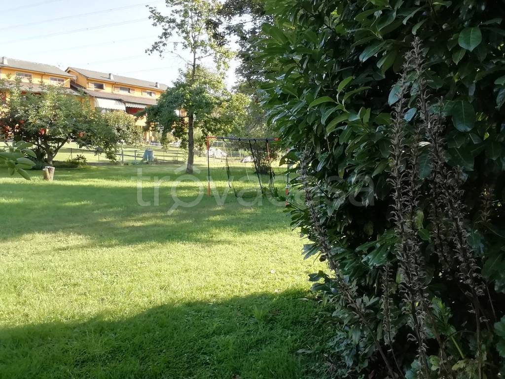 immagine annuncio 2 di 14
