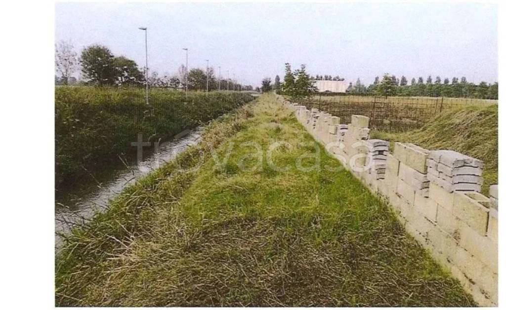 immagine annuncio 5 di 14