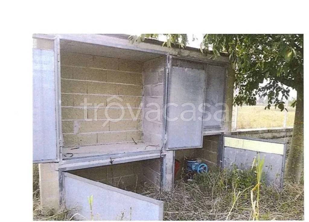 immagine annuncio 9 di 14