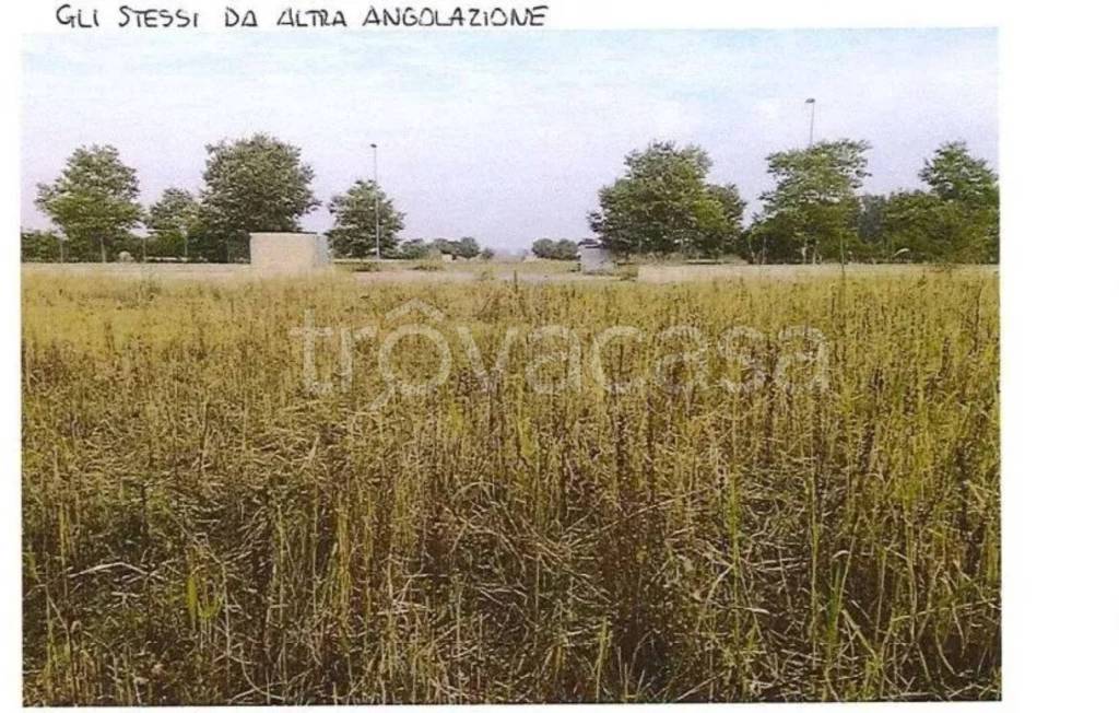 immagine annuncio 11 di 14