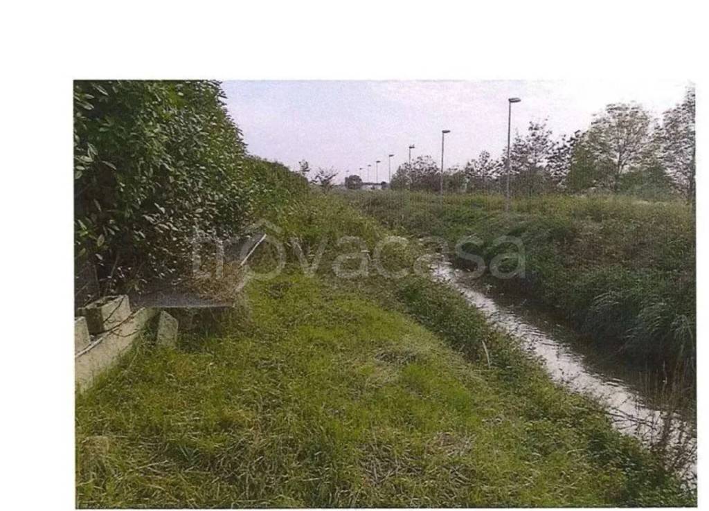 immagine annuncio 12 di 14