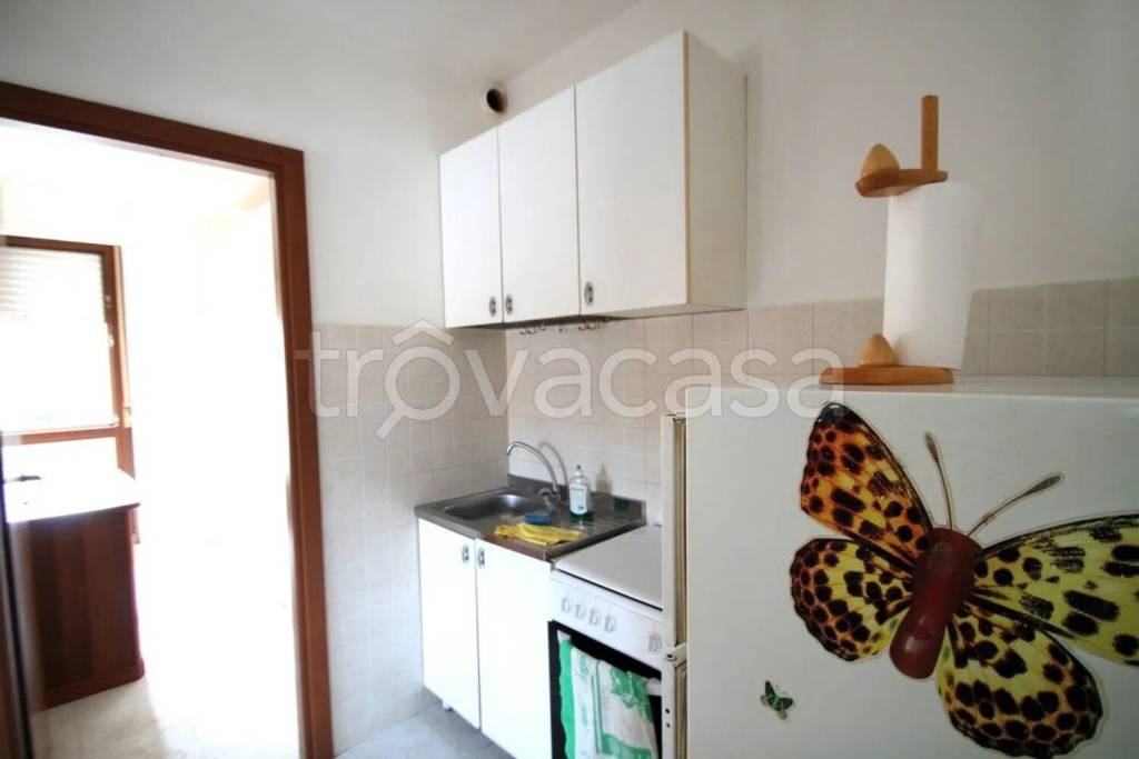 immagine annuncio 6 di 13