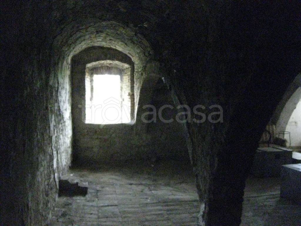 immagine annuncio 3 di 7
