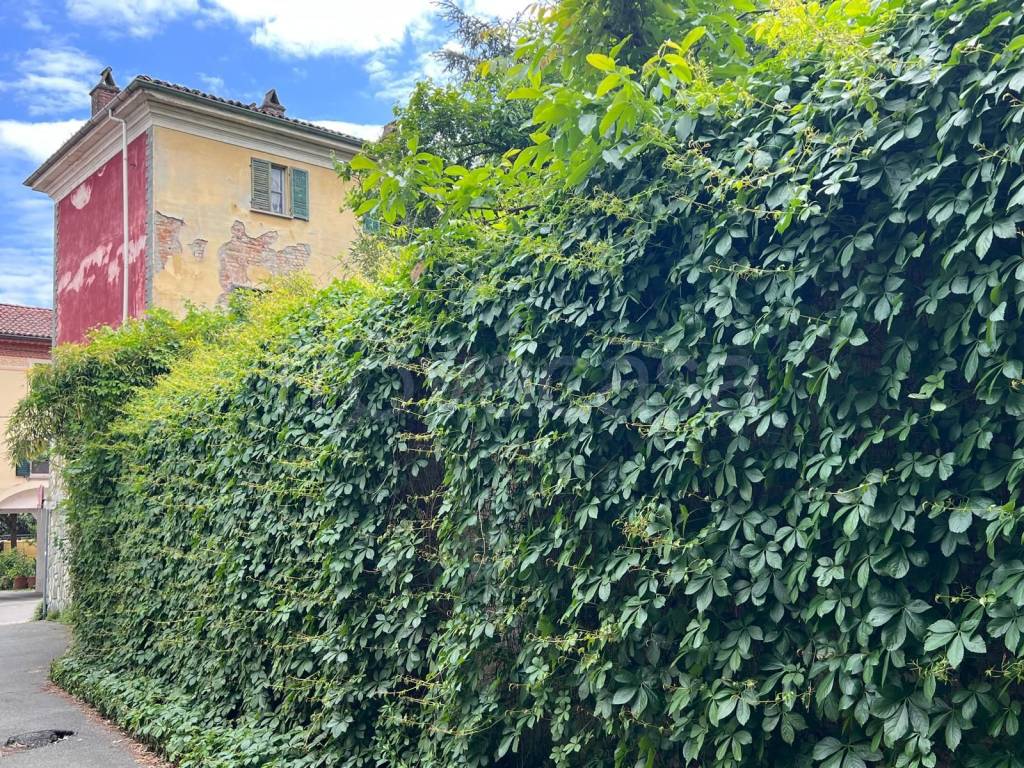 immagine annuncio 4 di 14