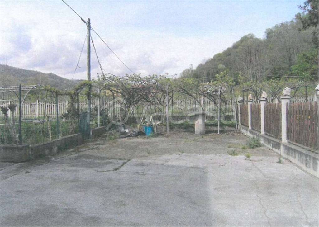 immagine annuncio 11 di 13