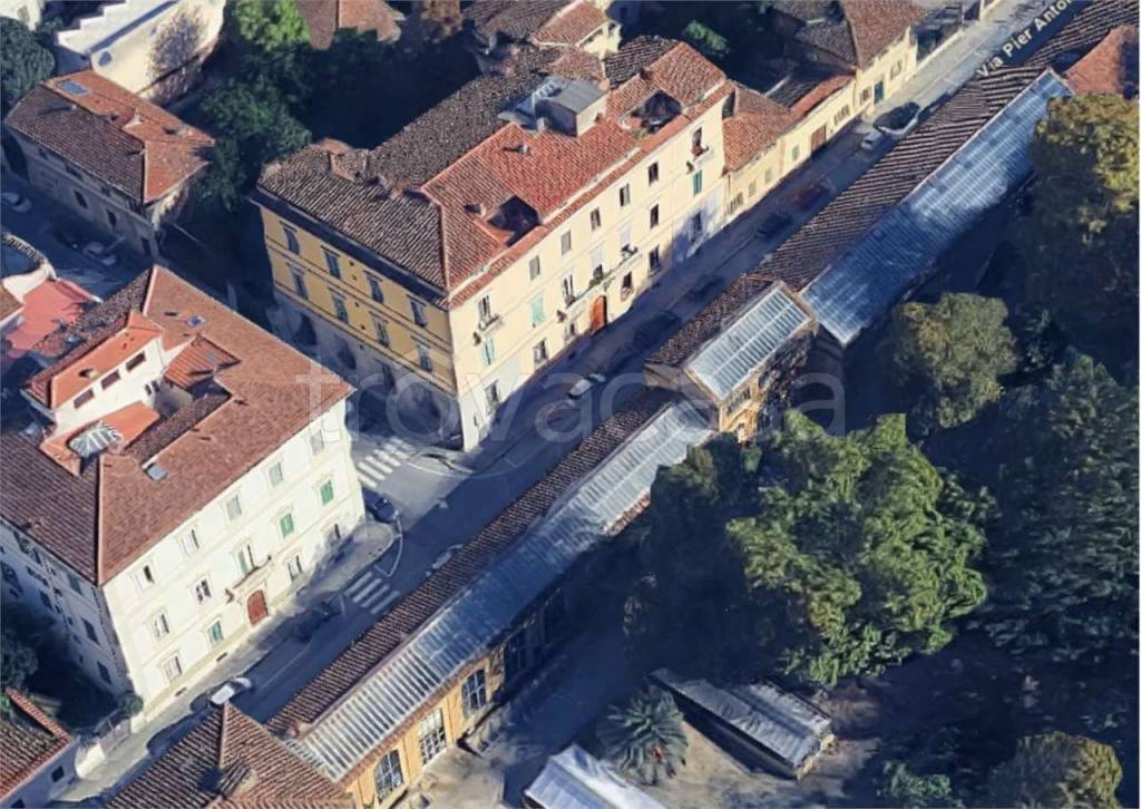 immagine annuncio 4 di 14