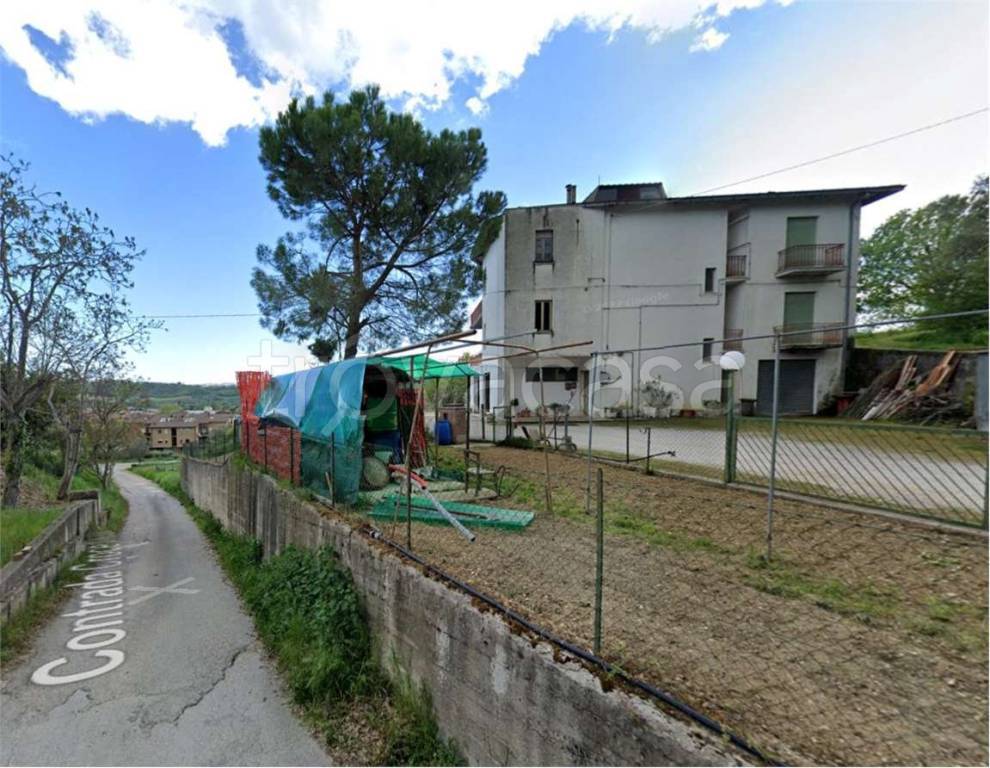 immagine annuncio 2 di 11