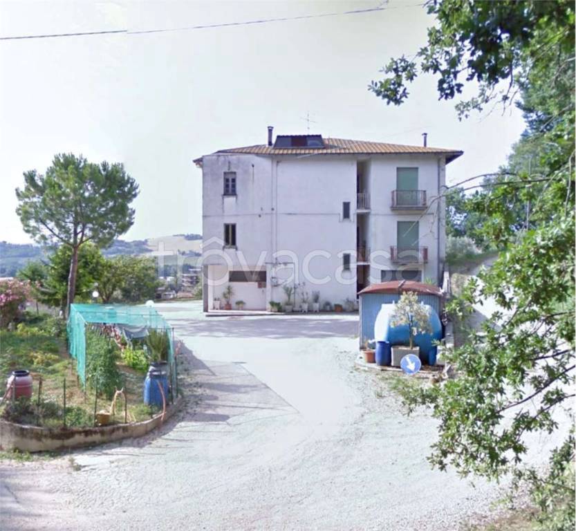 immagine annuncio 5 di 11