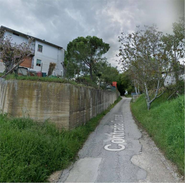 immagine annuncio 7 di 11