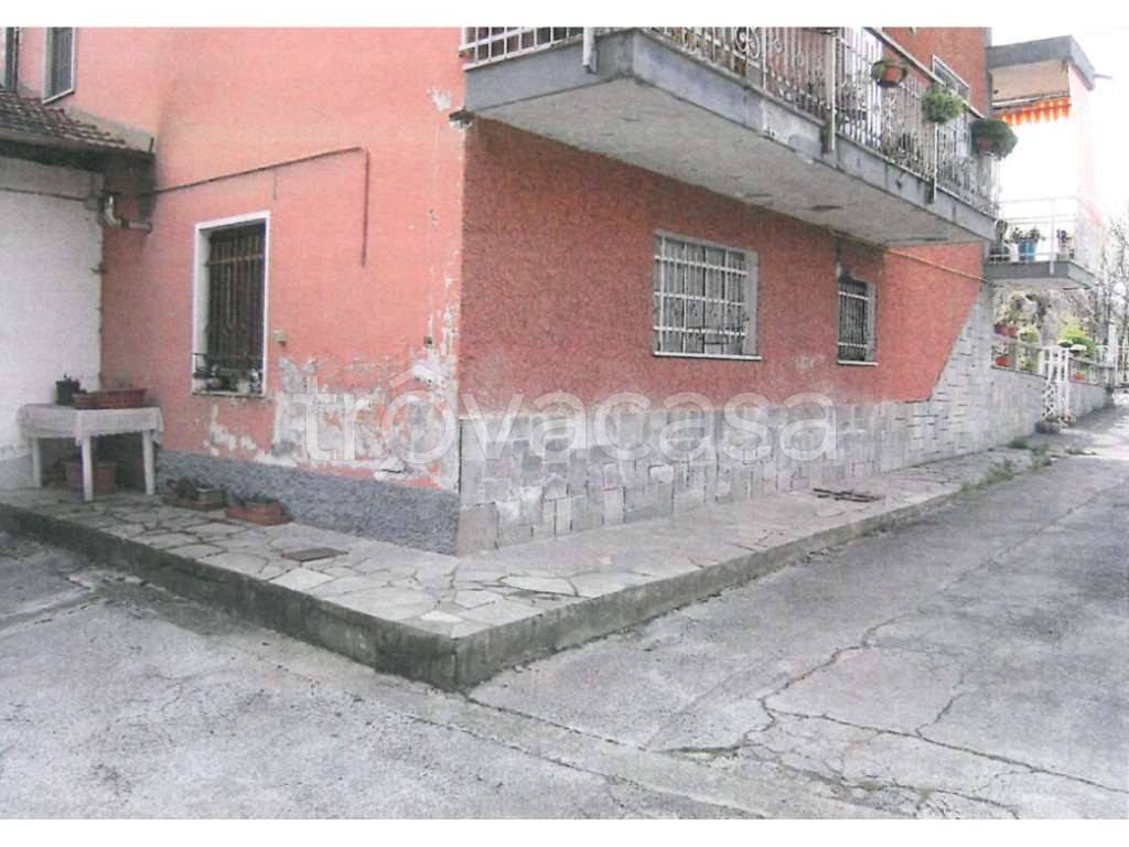 immagine annuncio 3 di 14