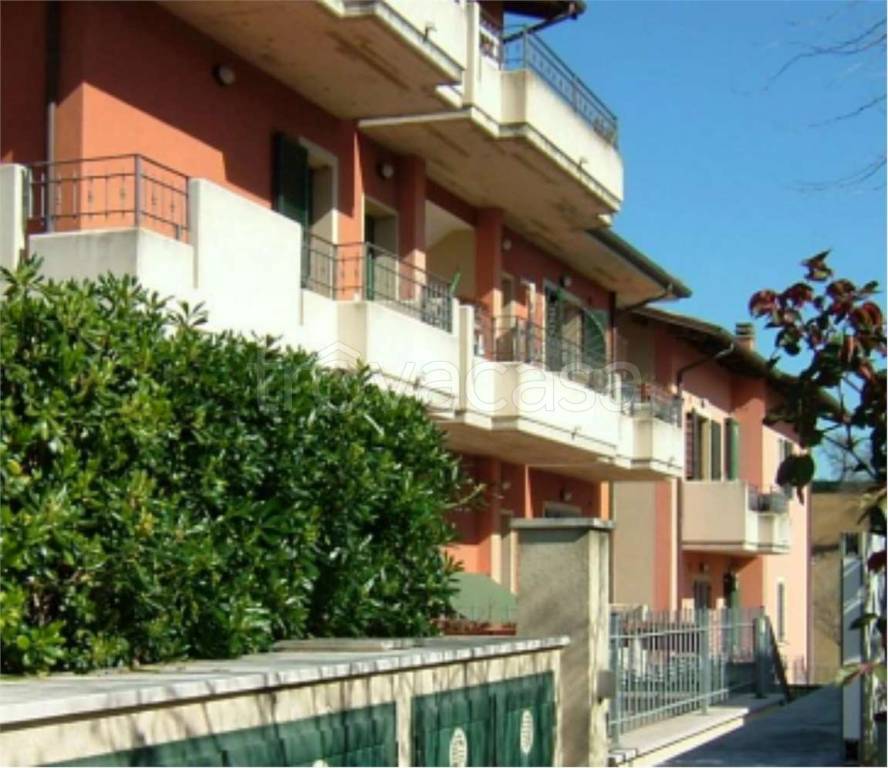 immagine annuncio 2 di 12