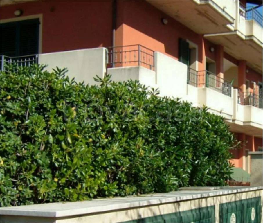immagine annuncio 3 di 12