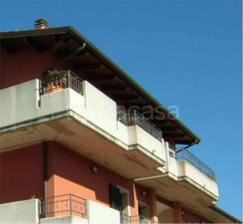 immagine annuncio 4 di 12