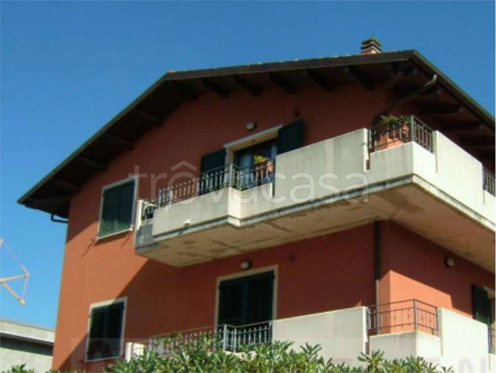 immagine annuncio 5 di 12